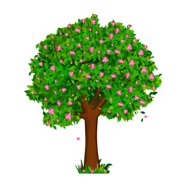 Spring tree with green leaves and pink flowers