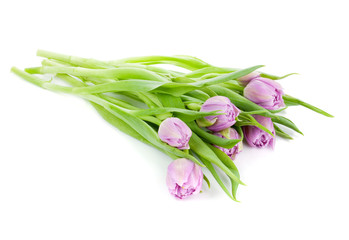 Lying pink tulips bouquet