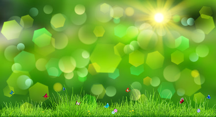 Obraz premium Spring background with green grass