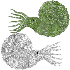 Hand drawn ammonite shellfish. Anti stress coloring page, zentangle art, ethnic doodle pattern.