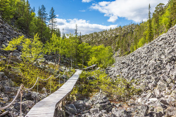 Wanderpfad im Pyhä-Luosto National Park -Finnland 7