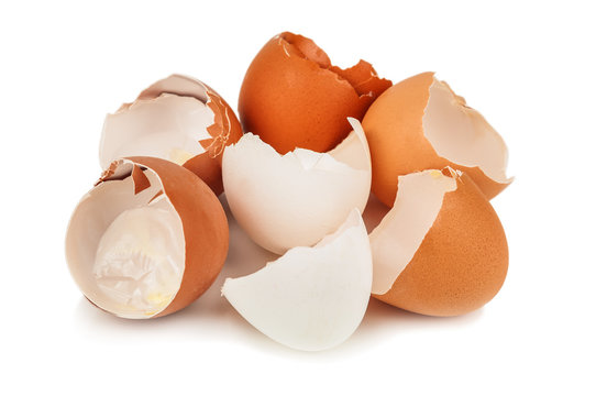 heap of egg shell