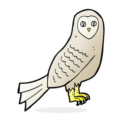 cartoon owl