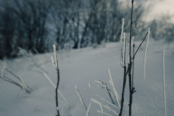Zaśnieżony stok © xfit
