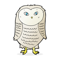 cartoon owl