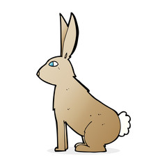 cartoon rabbit