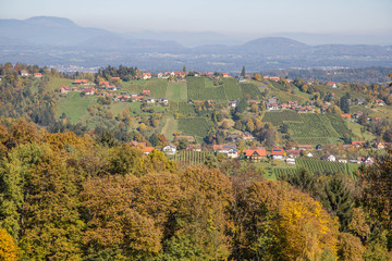 Fototapeta na wymiar Herbstlich verfärbte Weinberge im südsteirischen Hügelland