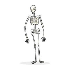 cartoon spooky skeleton