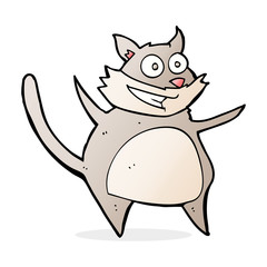 funny cartoon cat