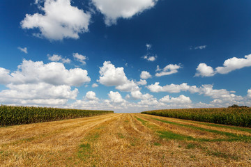 Blue cloudy sky over the stubble