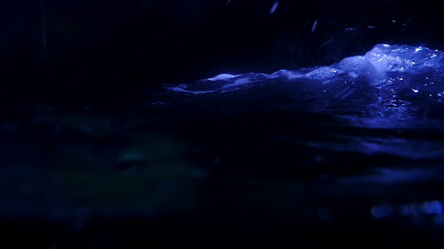 Underwater Ocean 96fps 02 Slow Motion x4