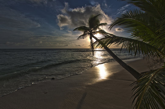 Paradies