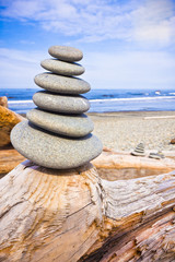rocks stacked on driftwood by sea shore