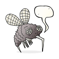 speech bubble cartoon fly