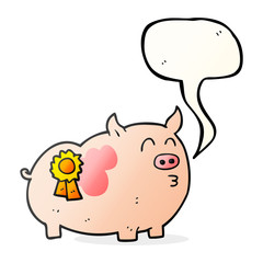 speech bubble cartoon prize winning pig