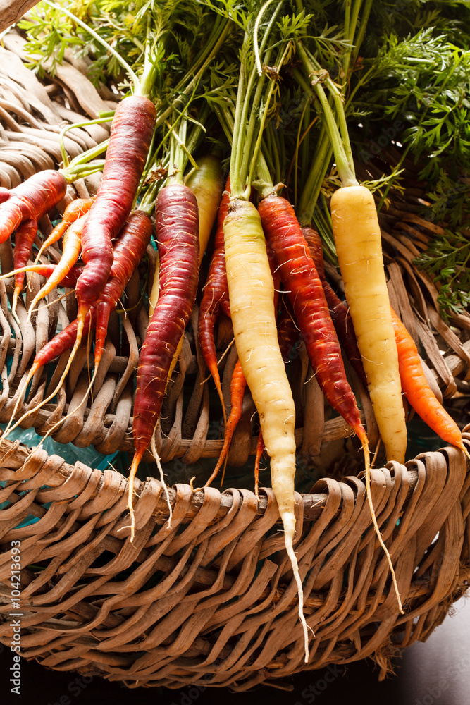 Wall mural fresh carrots