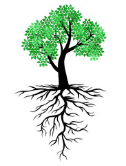 Tree icon with green leaves and roots