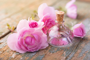 Obraz na płótnie Canvas Bottle of essential oil or rose water and pink rose flowers on rustic wood, still life of natural cosmetics, aromatherapy. alternative medicine
