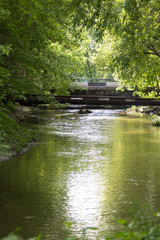 Fototapeta na wymiar old concrete bridge over a small river in forest