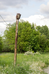 old rusty pipe in grass in the park