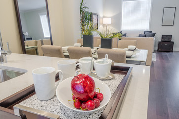 Modern kitchen in luxury house.
