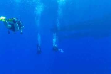Group of Divers near Boat Underwater