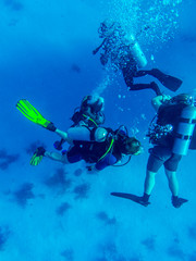 Fototapeta na wymiar Group of divers on 5-min safety stop, Cuba