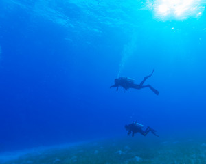 Group of Scuba Divers