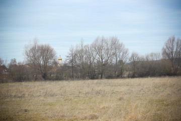 Autumn dry grass & forest field