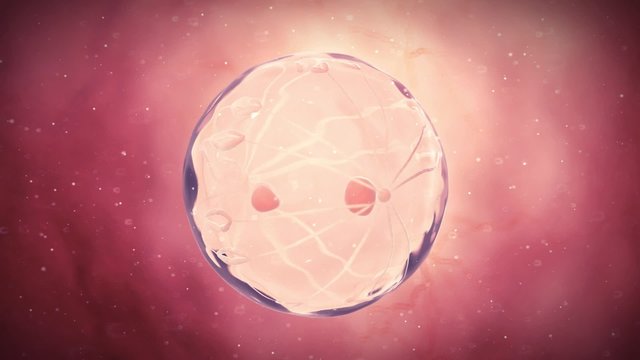 medical 3d animation of dividing cell