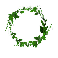 vector. Round banner of branches with leaves. Green leaves in a