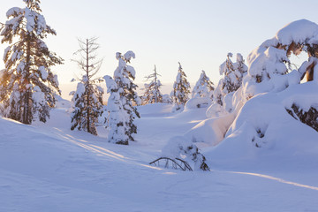 Fototapeta na wymiar Winter landscape on a sunset. Mountains, Finland.