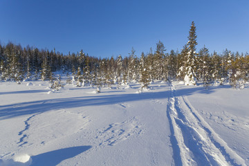 Winter landscape on a sunset. Mountains, Finland.