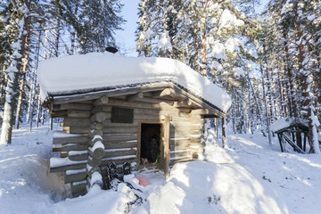 Cottage in winter