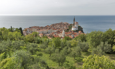 Piran Old Town cityscape, Slovenia. Aerial view.