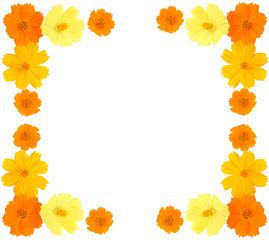 Flower frame with yellow flowers isolated on white background, Marigold flower