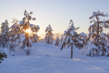 Winter landscape on a sunset. Mountains, Finland.
