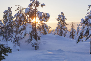 Winter landscape on a sunset. Mountains, Finland.