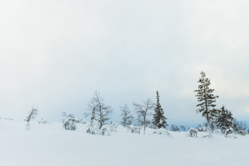 Winter landscape on a sunset. Mountains, Finland.