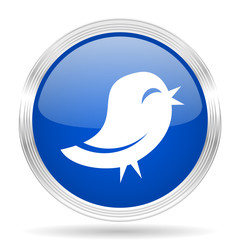 twitter blue silver metallic metallic chrome web circle glossy icon