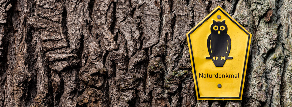 Naturdenkmal Schild an alter Stiel-Eiche - Quercus robur