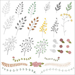Hand drawn vintage floral elements. Set of branches, icons and decorative elements.