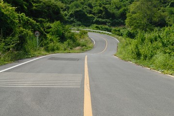 curve asphalt road along  forest