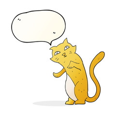 speech bubble cartoon cat