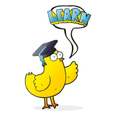 speech bubble cartoon bird with learn text