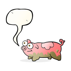 speech bubble cartoon pig