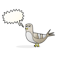 speech bubble cartoon pigeon