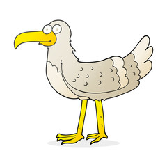 cartoon seagull