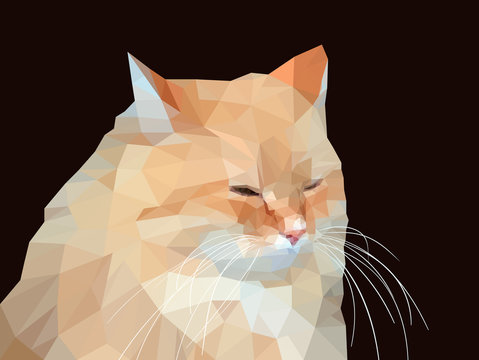 Polygonal illustration of a red cat.