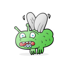 cartoon fly